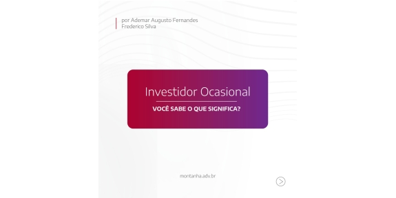 INVESTIDOR OCASIONAL